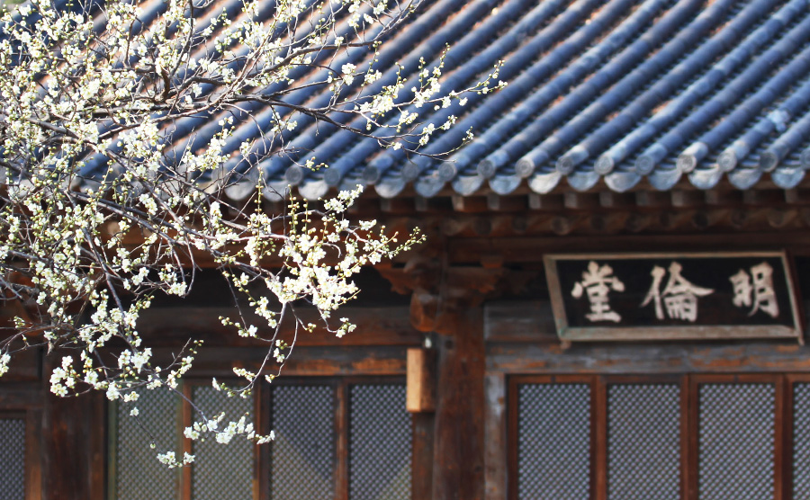 [2025.03] Jeonju Hanok Village welcoming spring